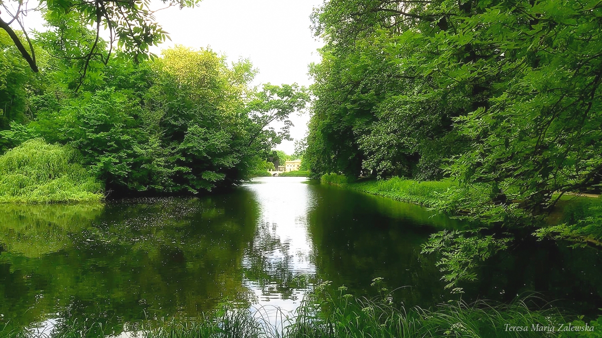 Rozw&oacute;j CMLXXX