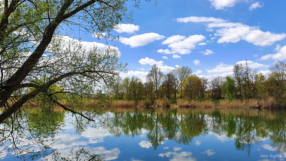 Rozw&oacute;j MCXVII