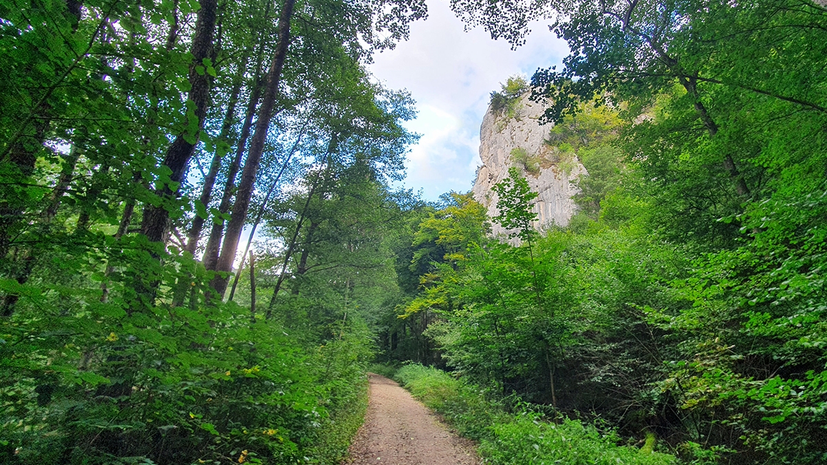 Rozw&oacute;j MCCLXXXVII