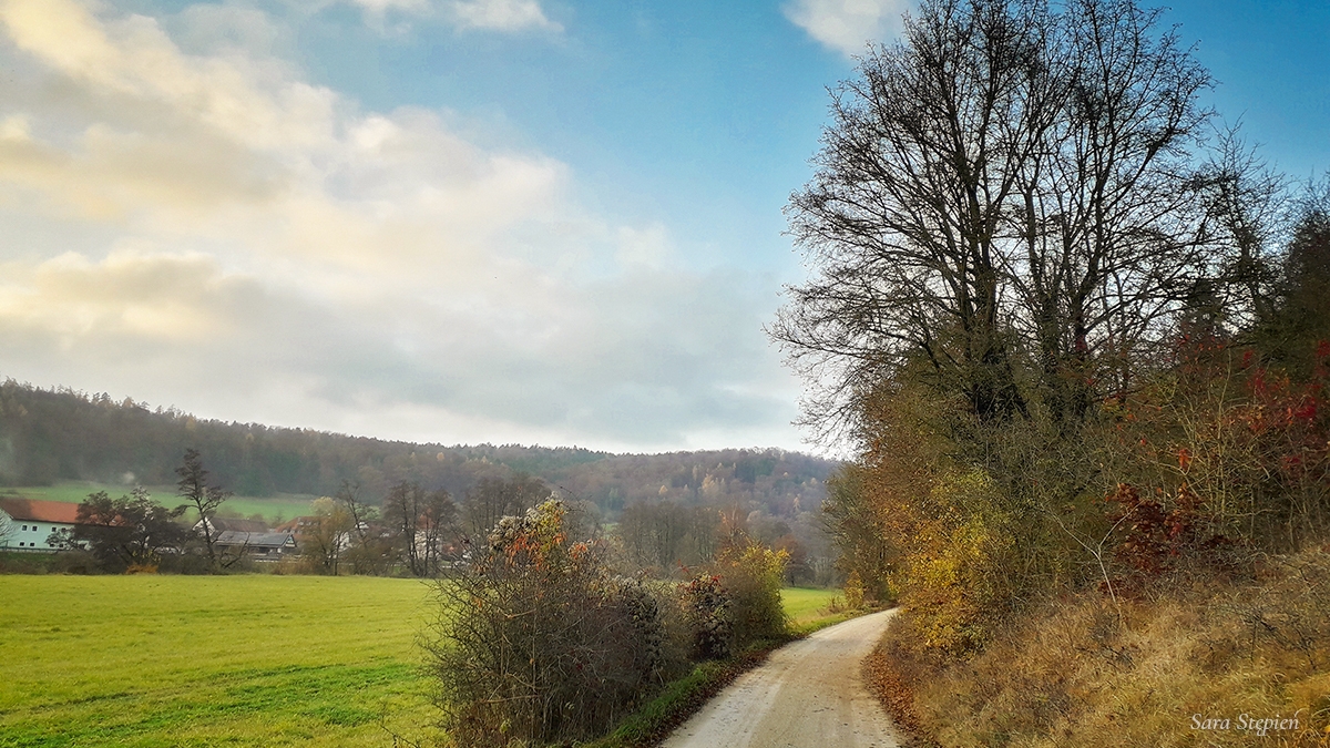 Rozw&oacute;j MXXXVII