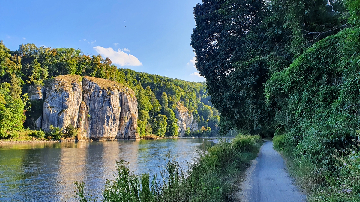 Rozw&oacute;j MCCLXXXI