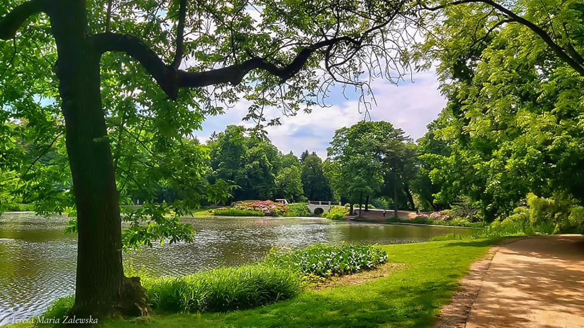 Rozw&oacute;j CMLXXVII