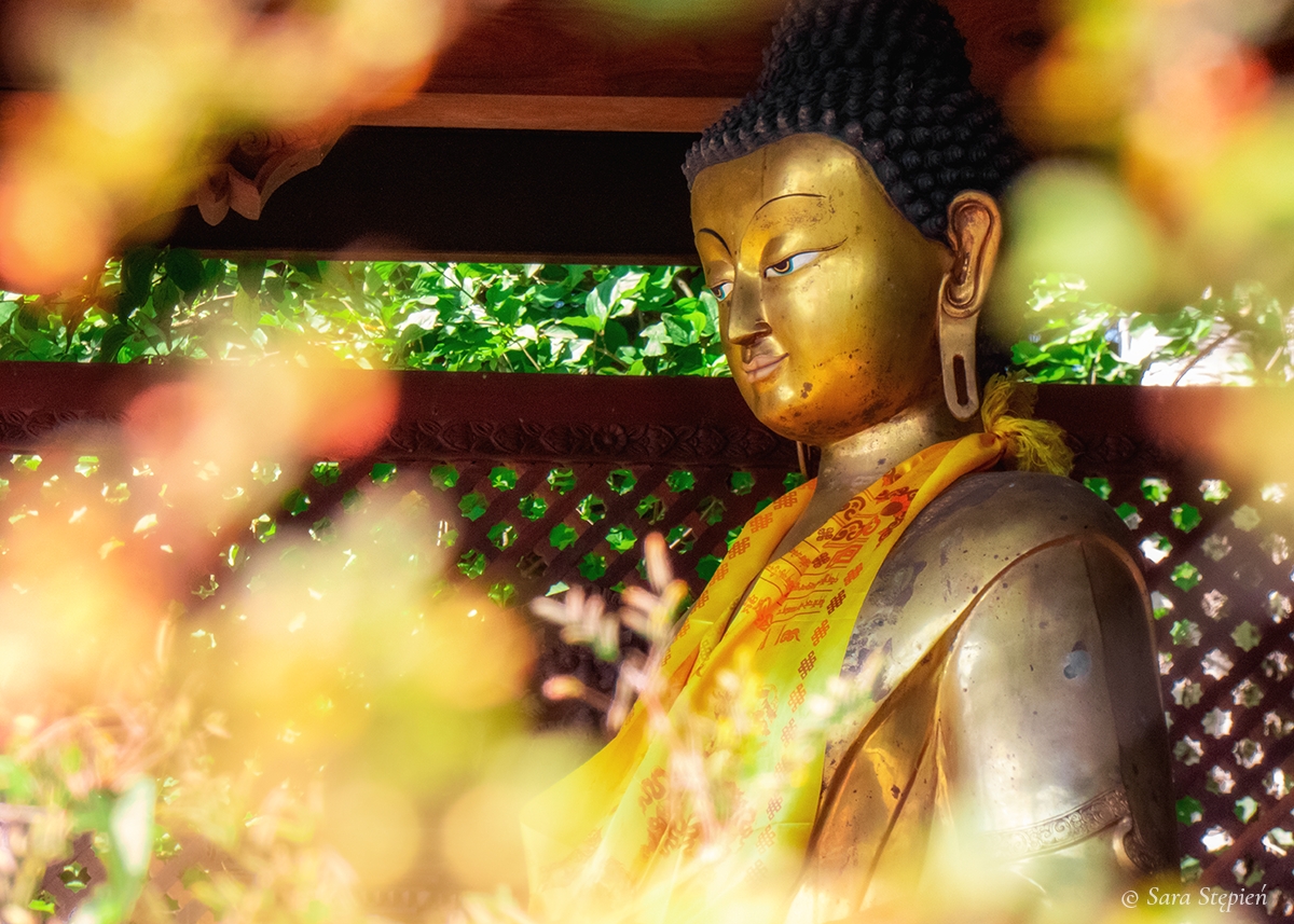 Rozw&oacute;j CDLXXXVII