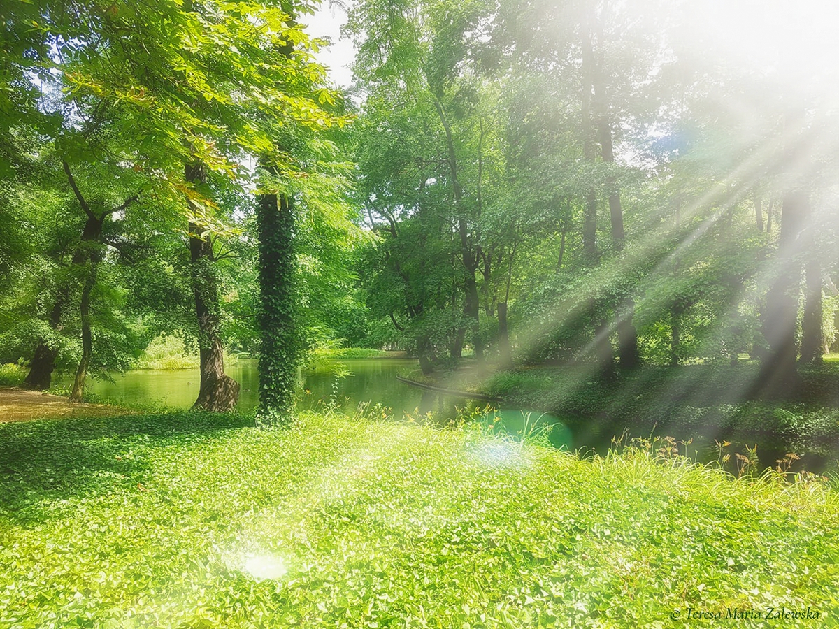 Rozw&oacute;j DLXXXV