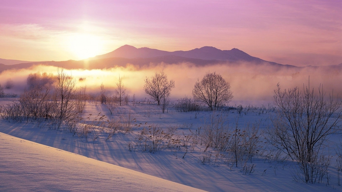 Rozw&oacute;j DCCCXCVII