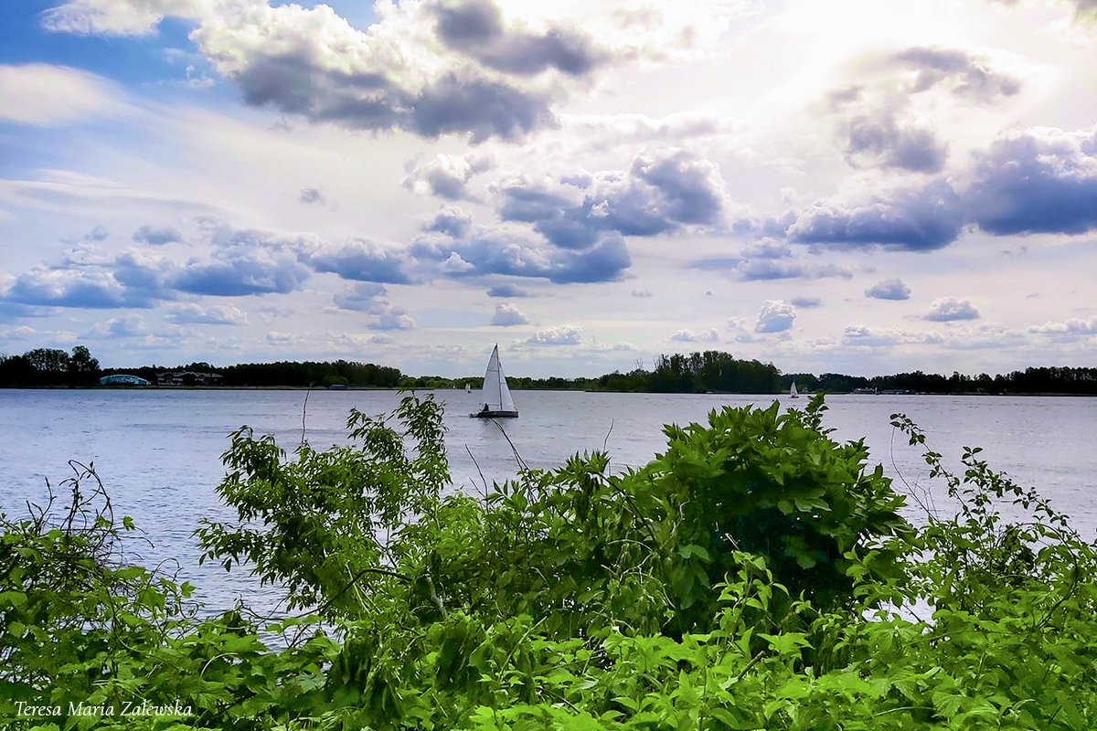 Rozw&oacute;j DCCXXI