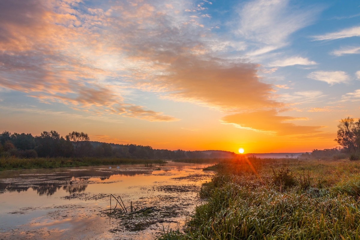 Rozw&oacute;j CCCLXXV