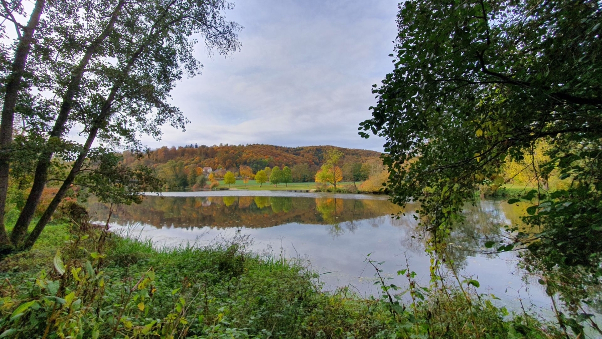 Rozwój MDXXXII