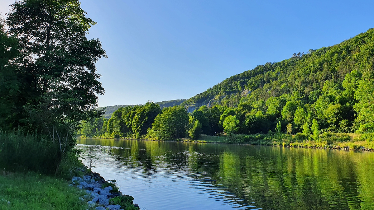 Rozw&oacute;j CCCXXVII