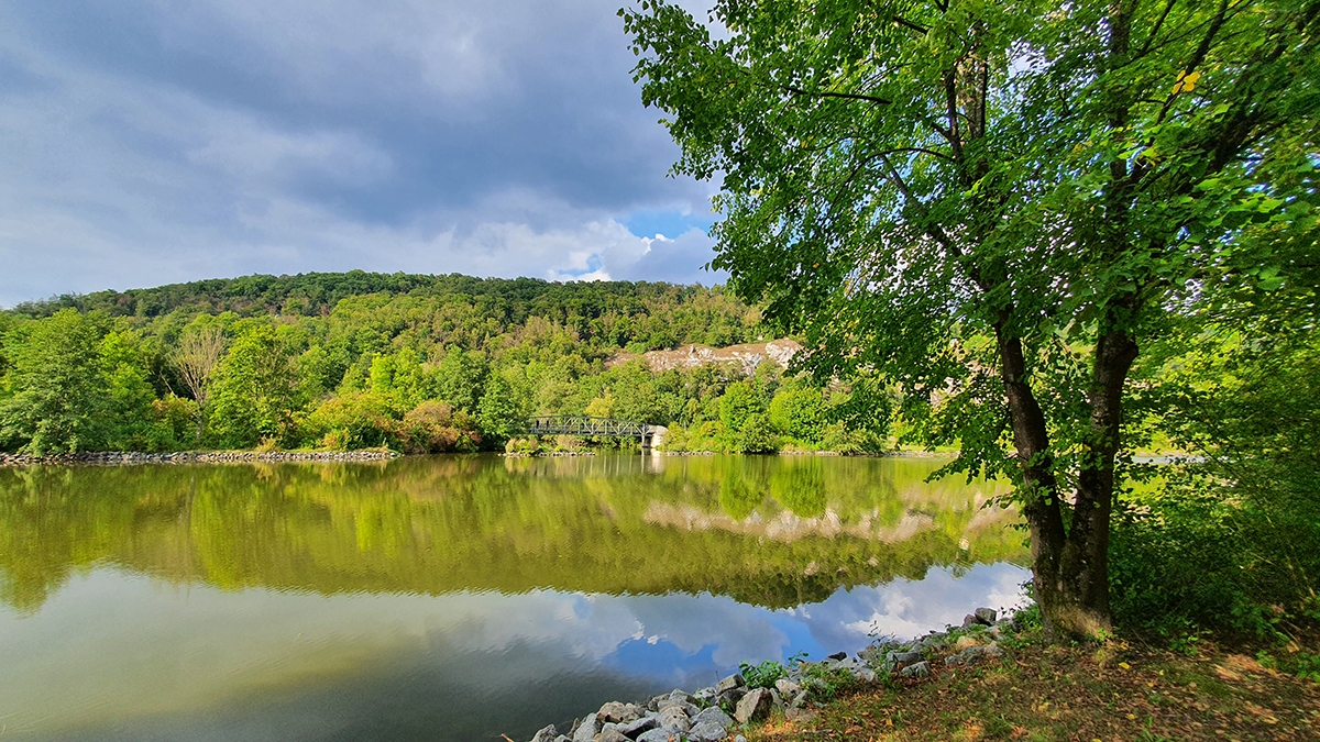 Rozw&oacute;j MCCXCIV