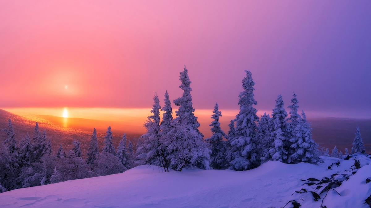 Rozw&oacute;j MCCCXXX