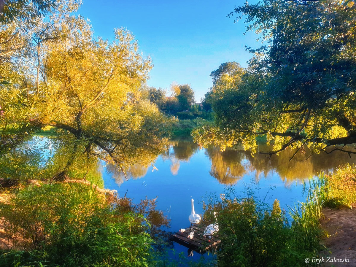 Rozw&oacute;j CDLXXXVIII