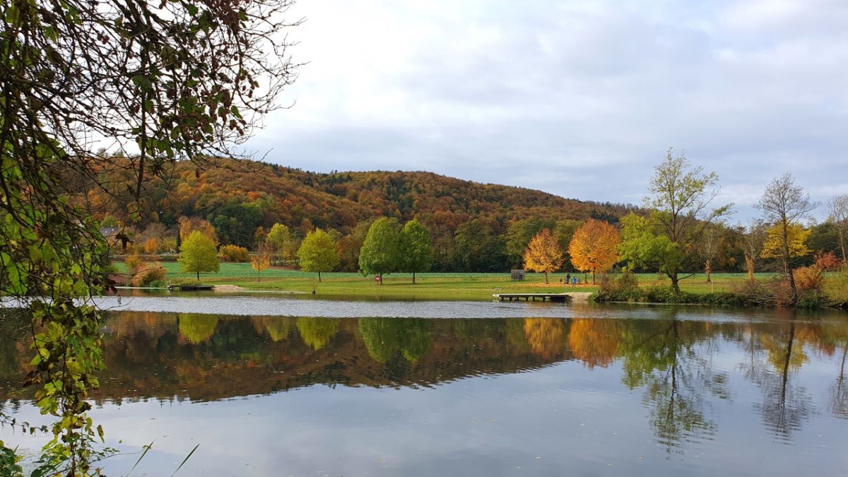 Rozw&oacute;j MCCCXCV