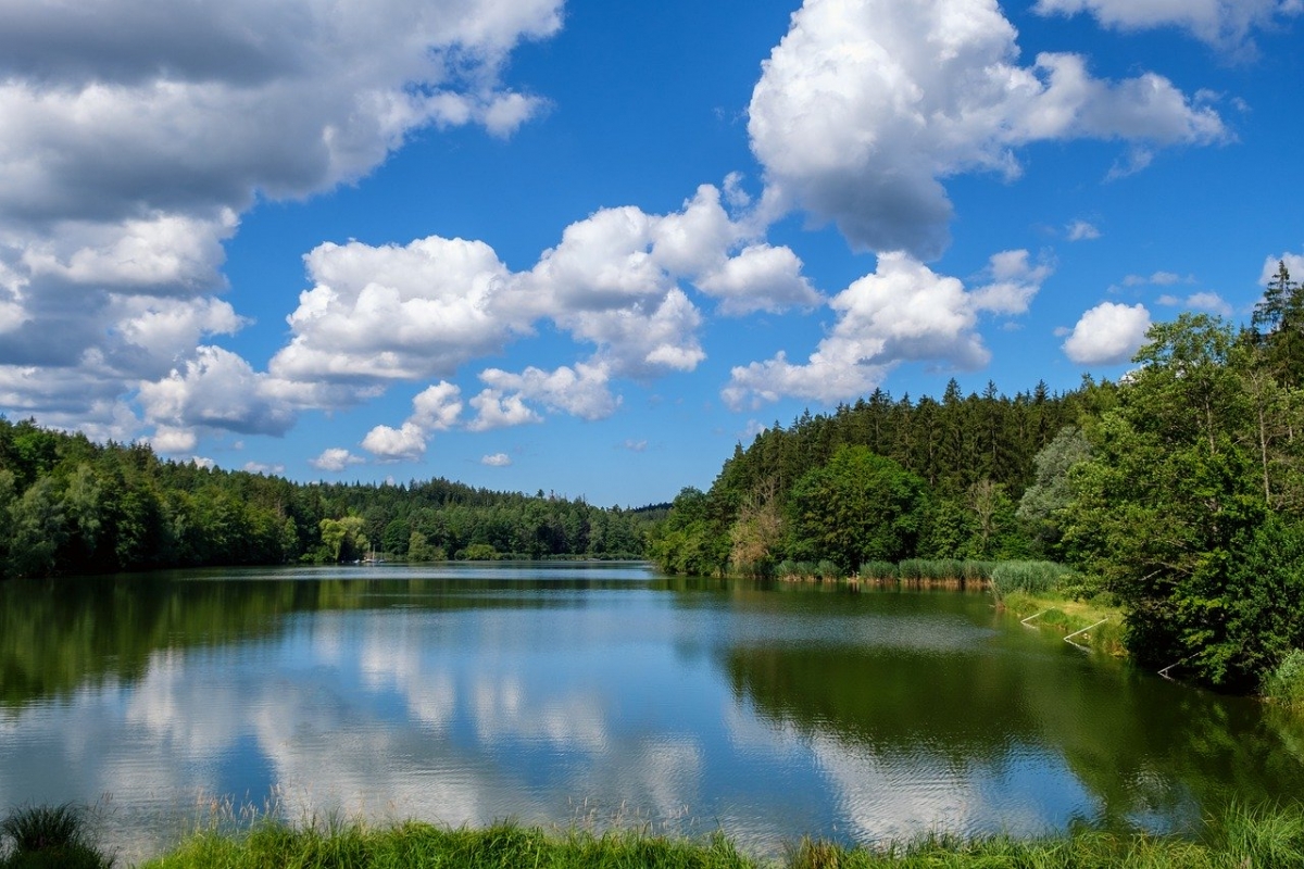 Rozw&oacute;j DCCLXXI