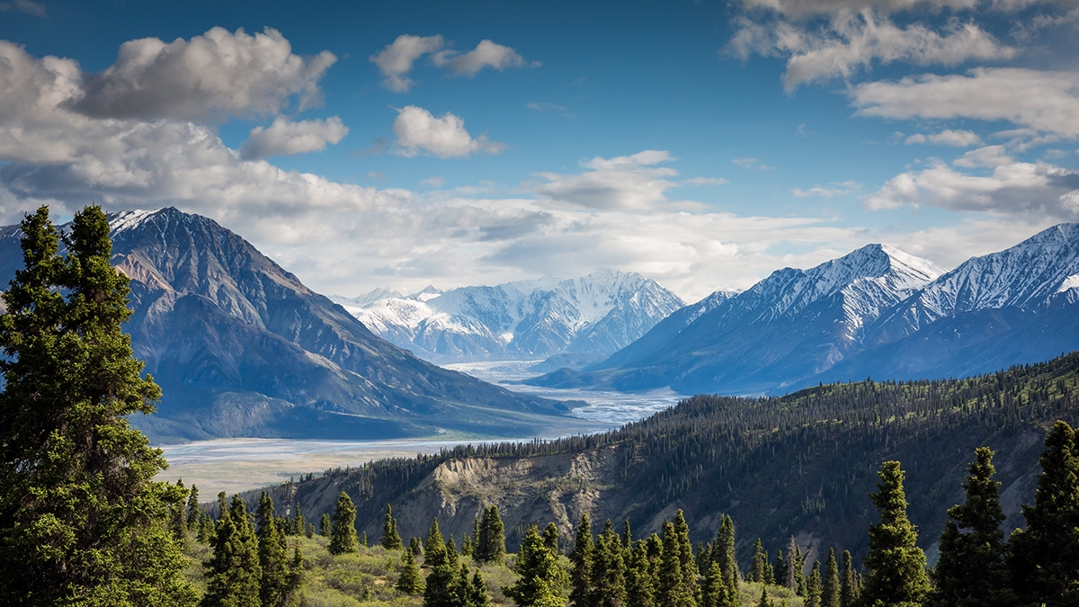 Rozw&oacute;j CMLXXXIV