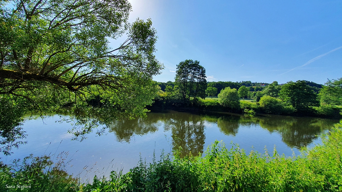 Rozw&oacute;j MCCXLV