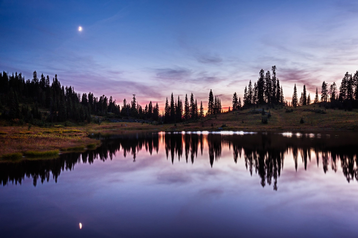 Rozw&oacute;j DCCCXXI