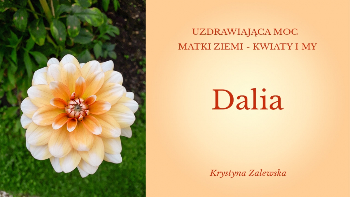 Uzdrawiająca moc Matki Ziemi - Kwiaty i my VI