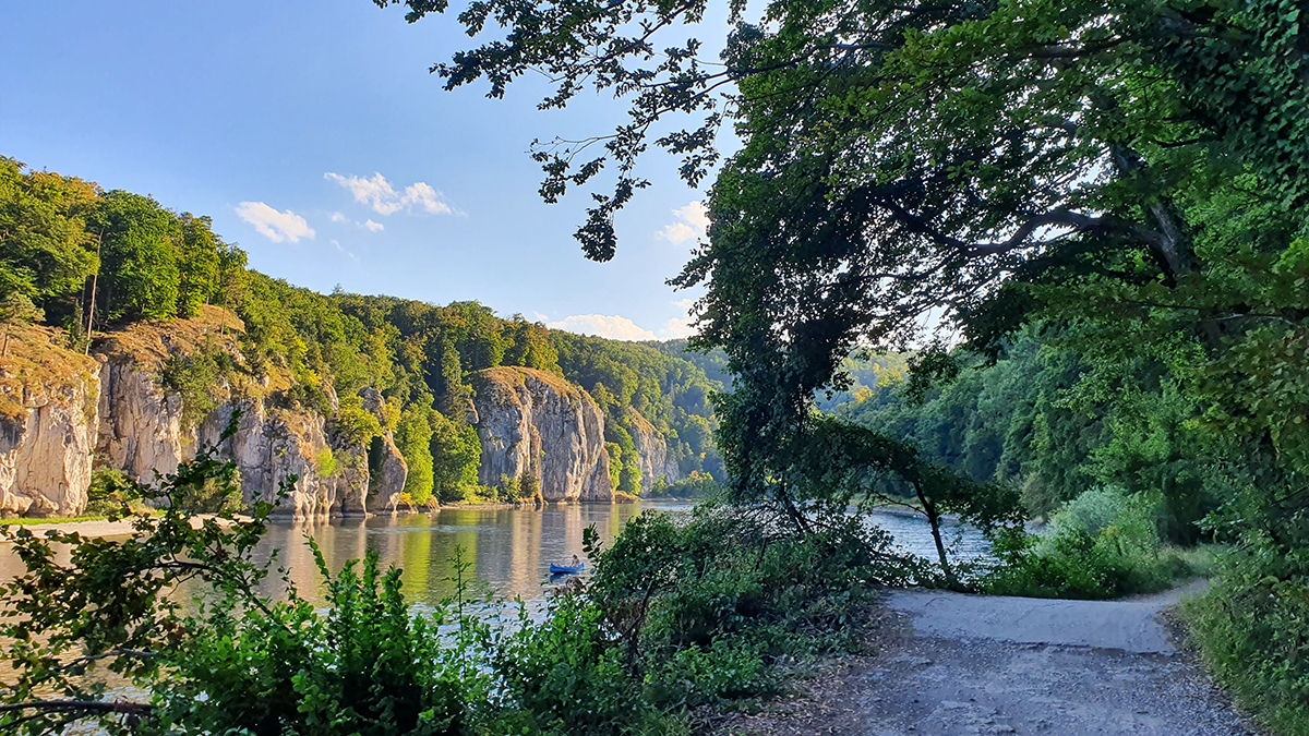 Rozw&oacute;j MCCLXXXV