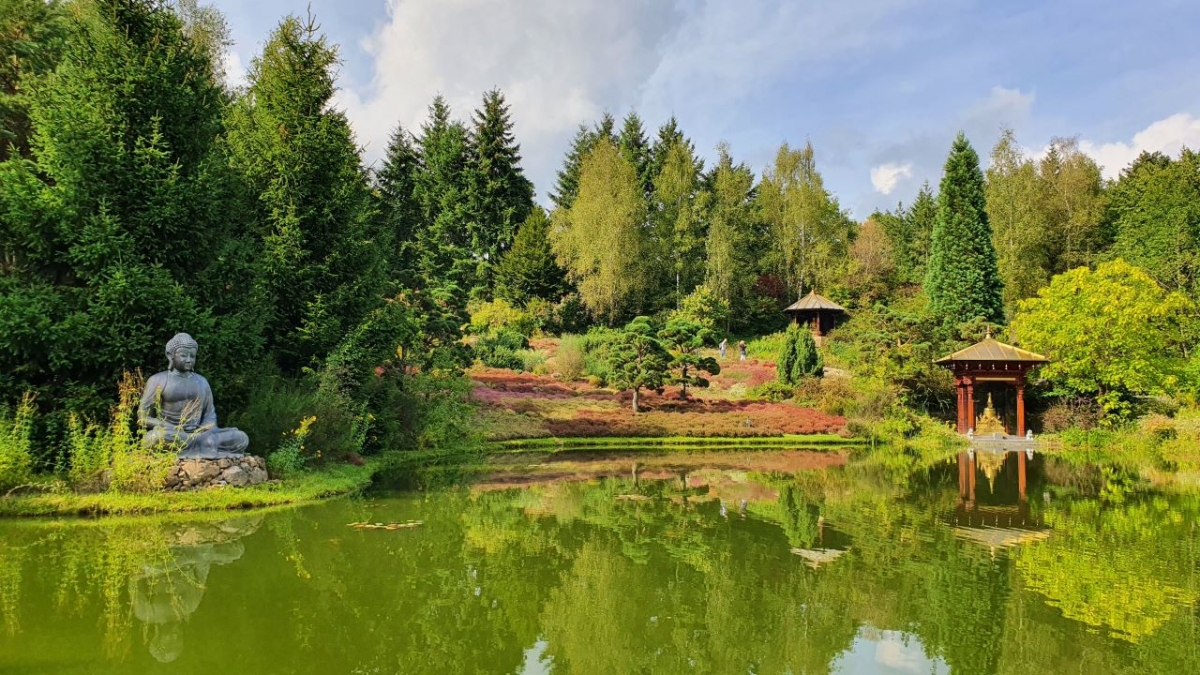 Rozw&oacute;j MCCCLXXXI