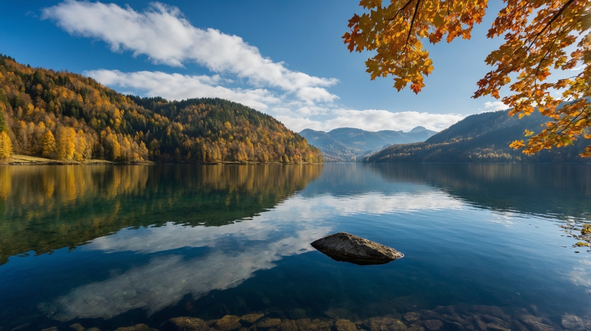 Rozw&oacute;j CLXXVI