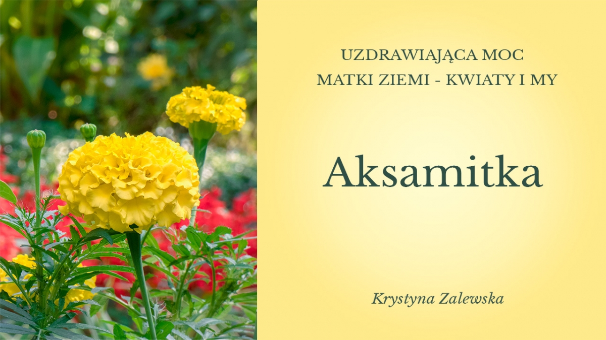 Uzdrawiająca moc Matki Ziemi - Kwiaty i my IV