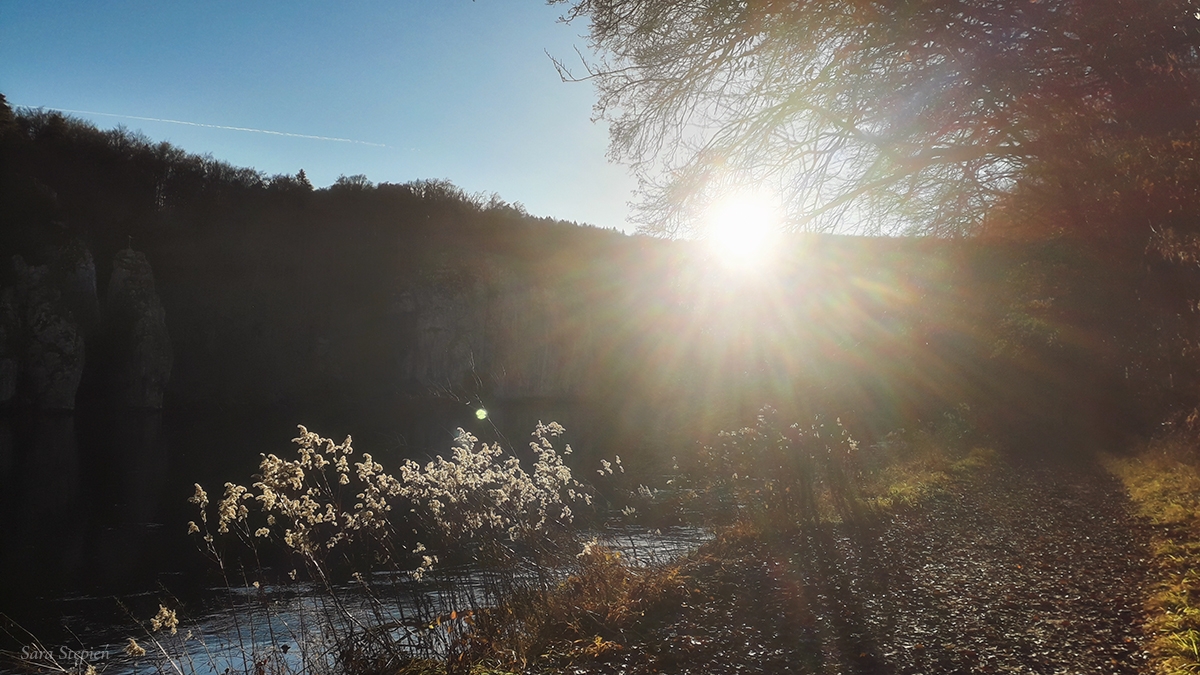 Rozw&oacute;j MLVIII