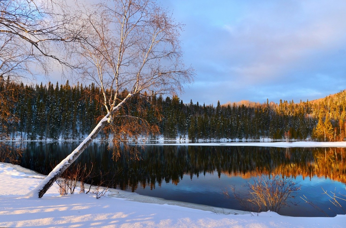 Rozw&oacute;j DCCCLXIII