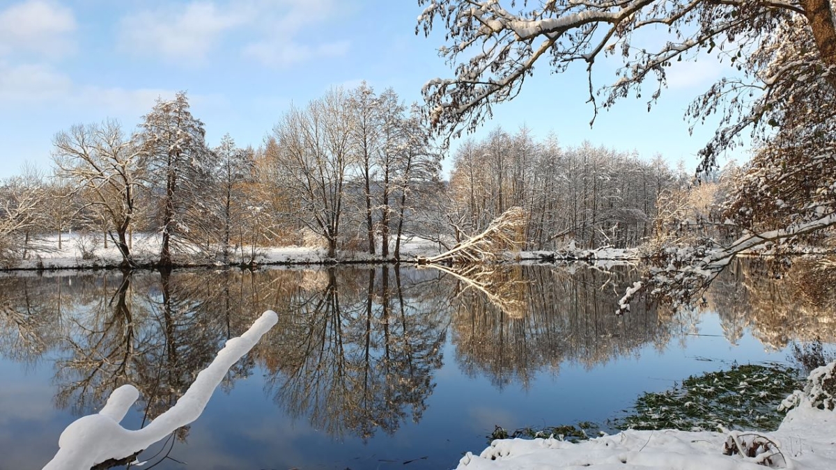 Rozw&oacute;j MCCCXCVII