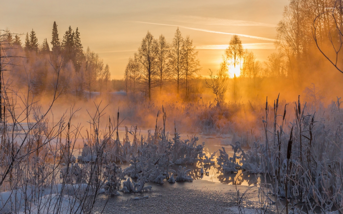 Rozw&oacute;j DCCCLXXXV