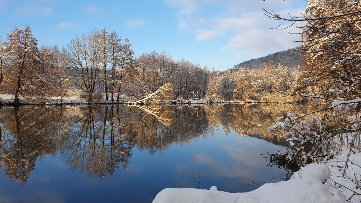 Rozw&oacute;j MCCCXCVI