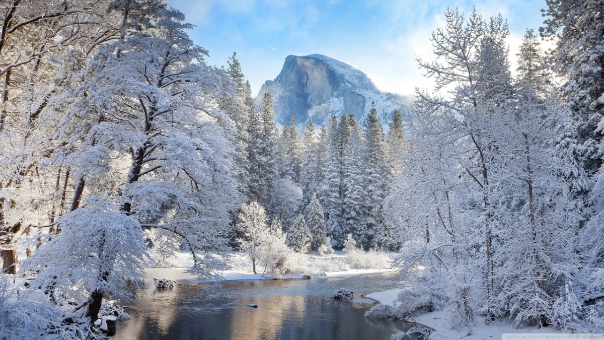 Rozw&oacute;j DCCCLXXXIX