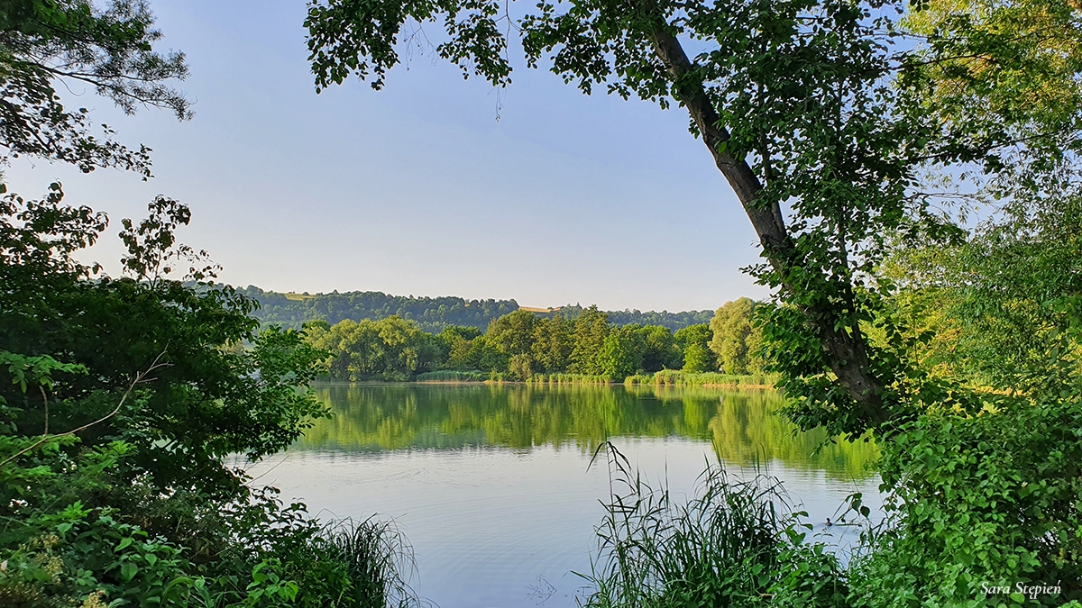 Rozw&oacute;j MCCXXXVI