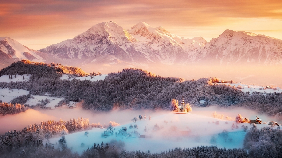 Rozw&oacute;j MCCCXXXIV