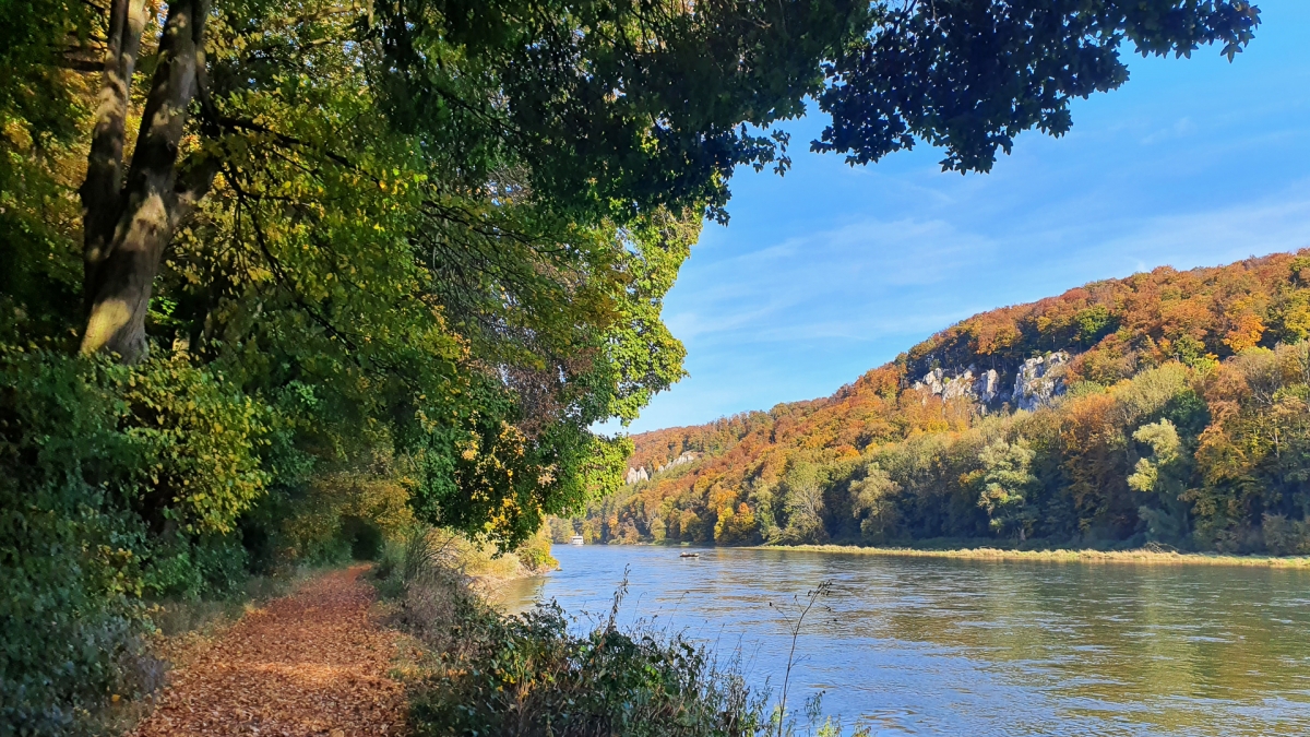 Rozw&oacute;j MCCCXI