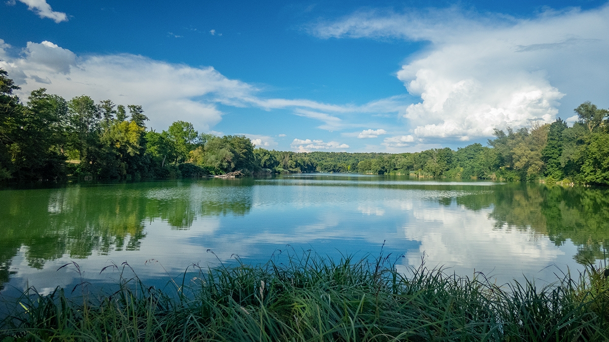 Rozw&oacute;j MCCLXXVI