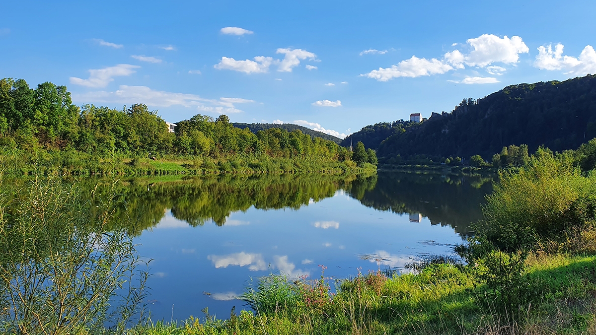 Rozw&oacute;j MCCLXXXVIII