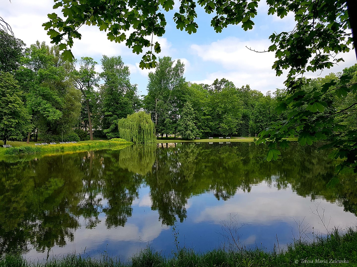 Rozw&oacute;j DLXIII