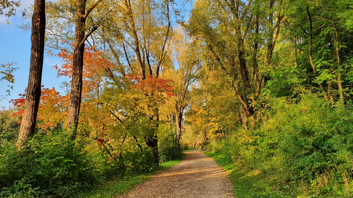 Rozw&oacute;j MCCCXIV