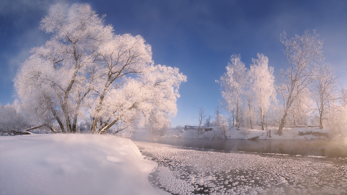 Rozw&oacute;j CCXXXV