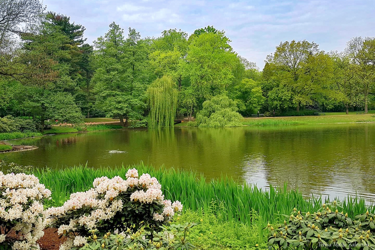 Rozw&oacute;j DCXCVIII