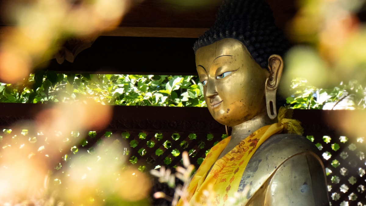 Rozw&oacute;j MCCCVII