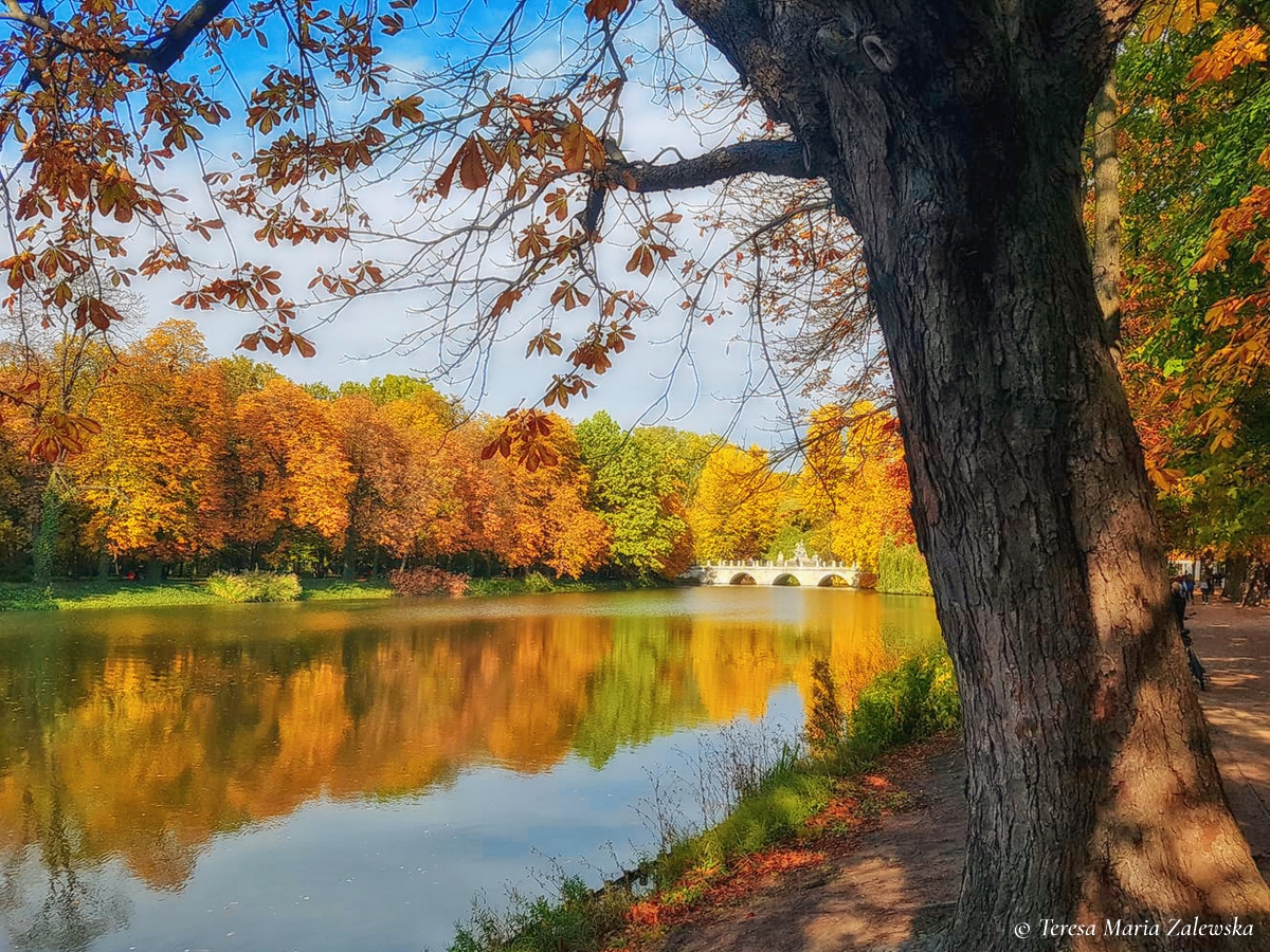 Rozw&oacute;j CCCLXX