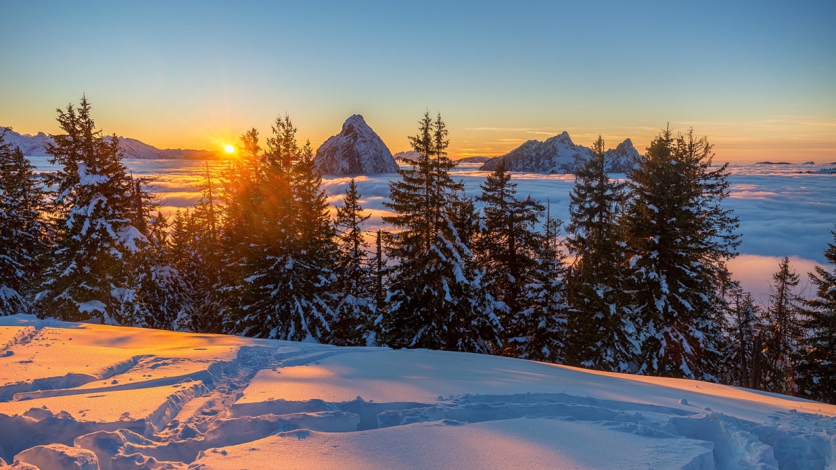 Rozw&oacute;j DCCCLXII