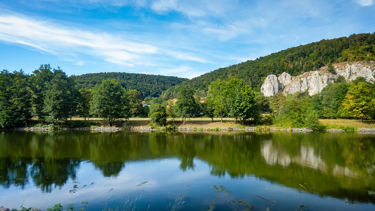 Rozw&oacute;j MCCLXXIV