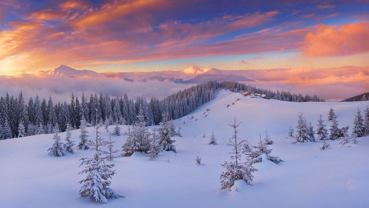 Rozw&oacute;j MLXXVI