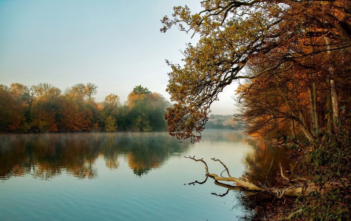 Rozw&oacute;j DCCCXXXVII