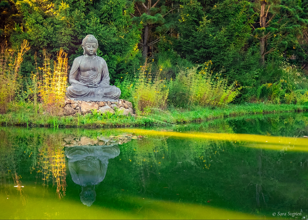 Rozw&oacute;j CDLXXXVI