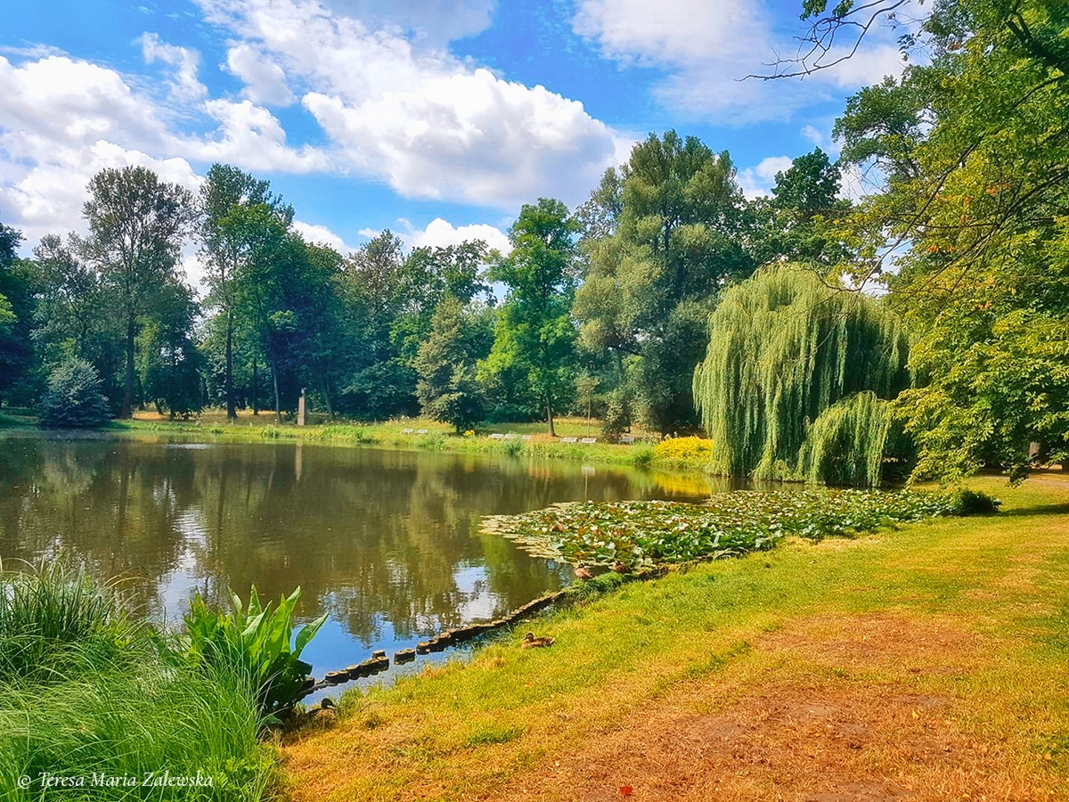 Rozw&oacute;j DLXXXIV