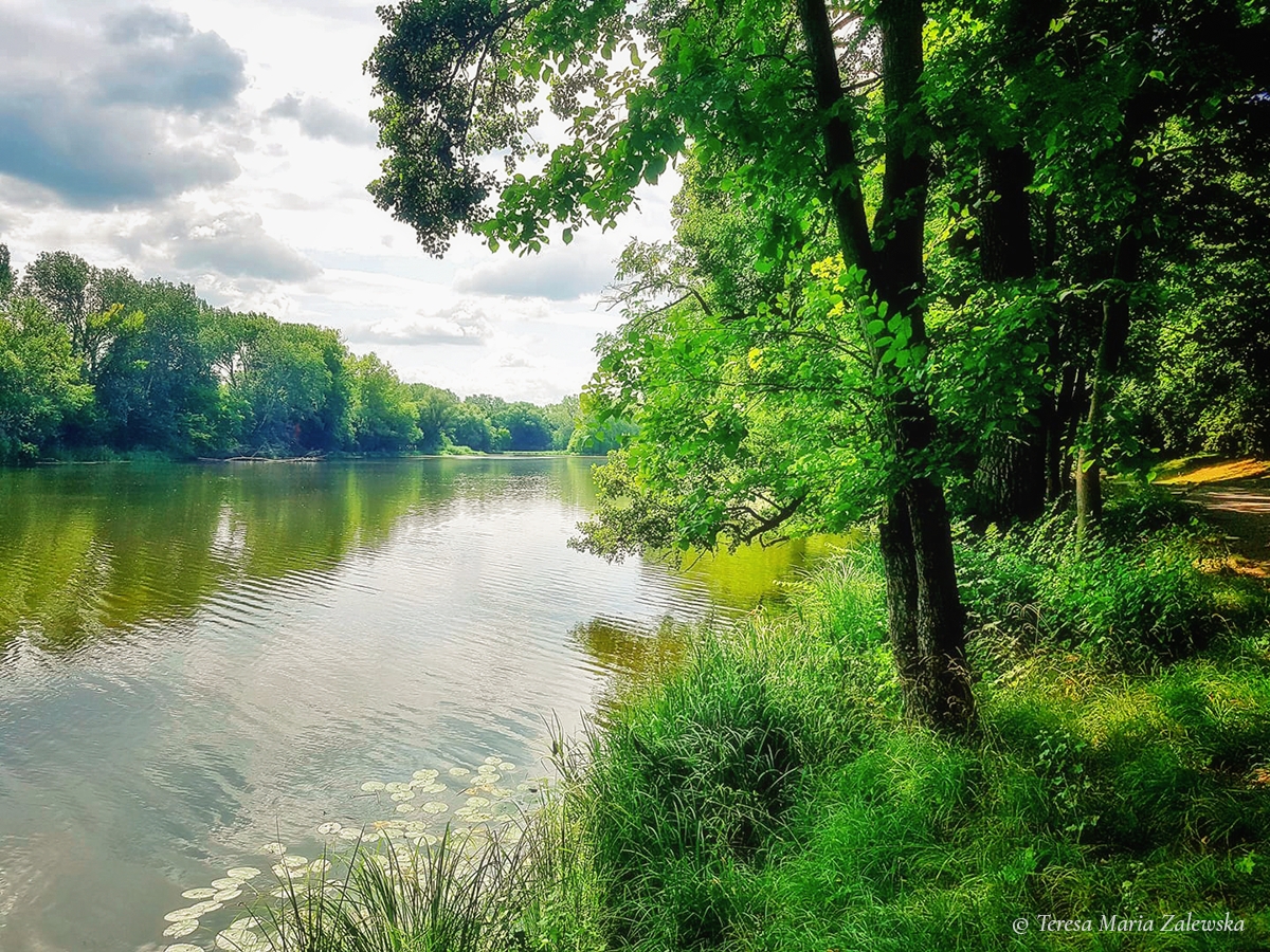 Rozw&oacute;j DLXXVIII